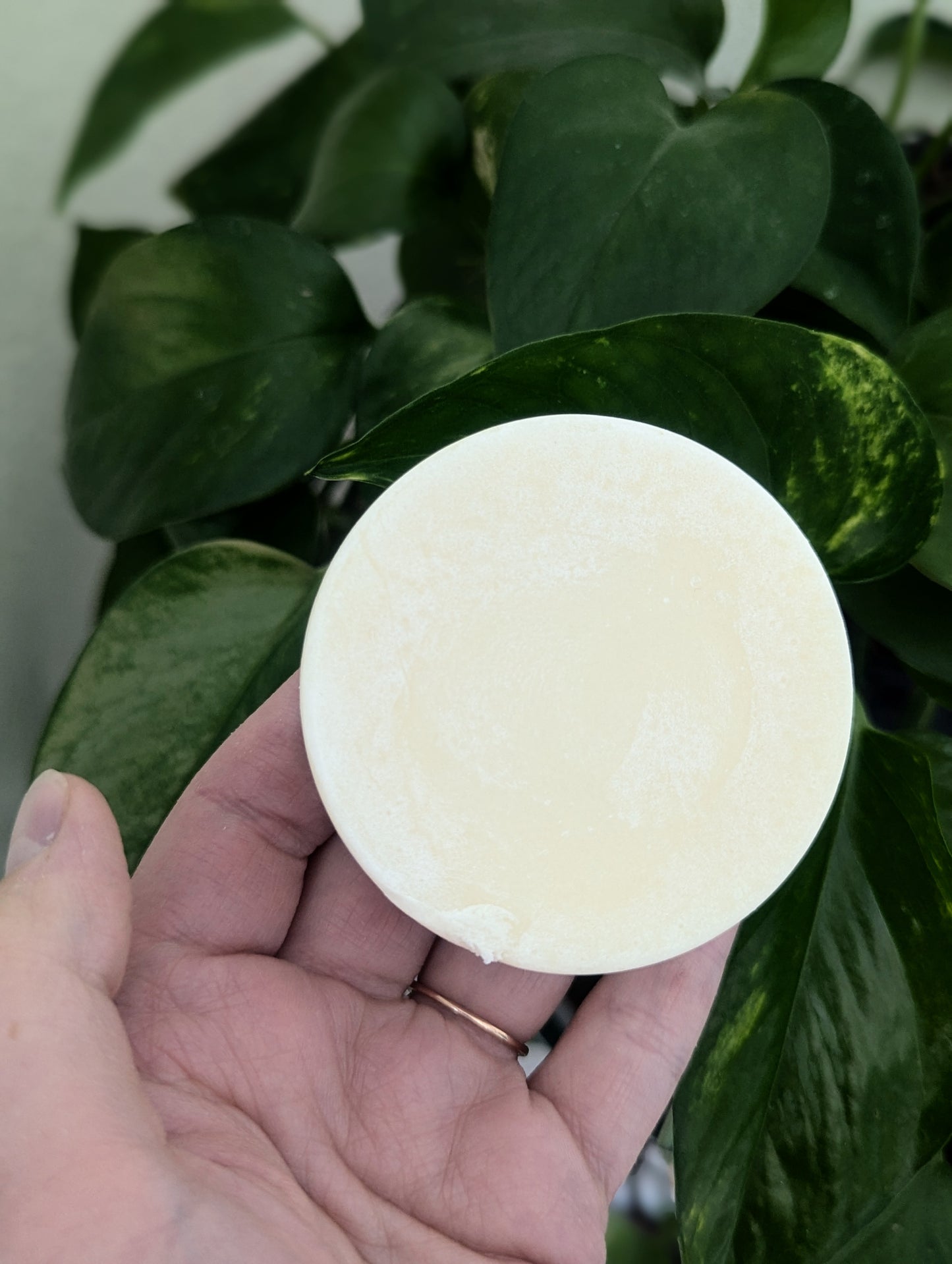 Unscented Tallow Soap