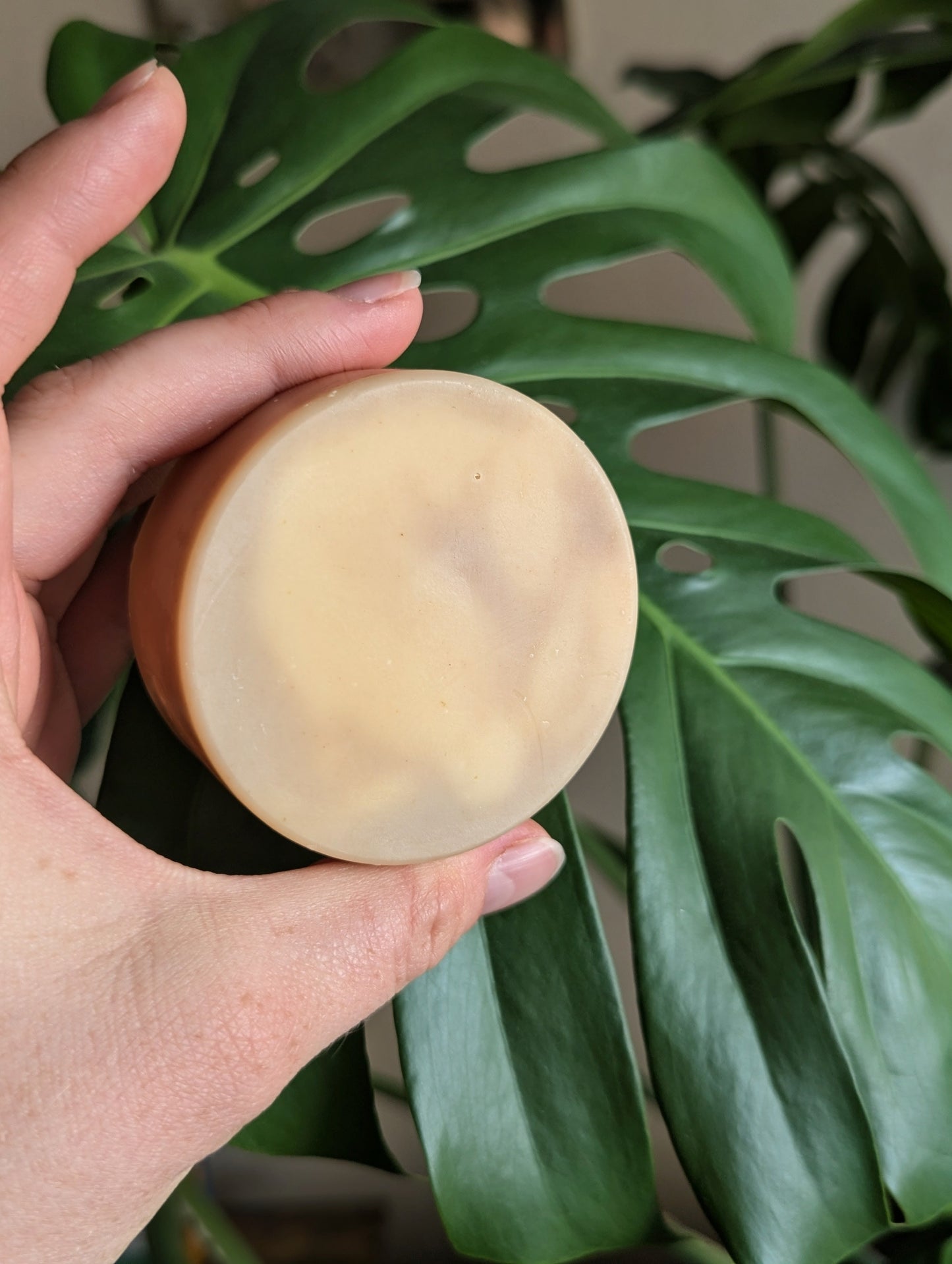 Lavender & Oat Tallow Soap