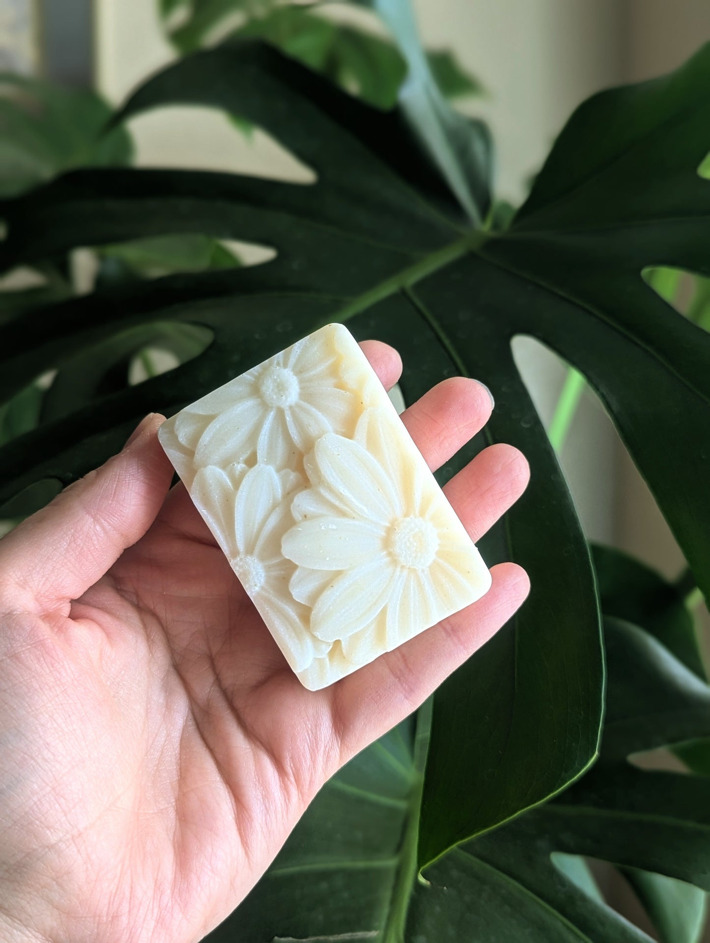 Unscented Tallow Soap